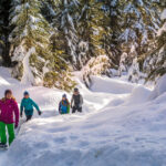 Group Snowshoeing in Whistler / Credit: Tourism Whistler/Justa Jeskova