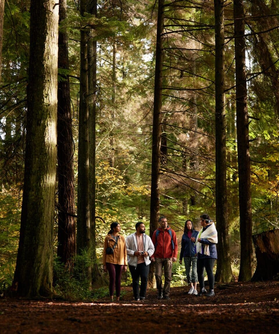 Talaysay Walking Indigenous Tours